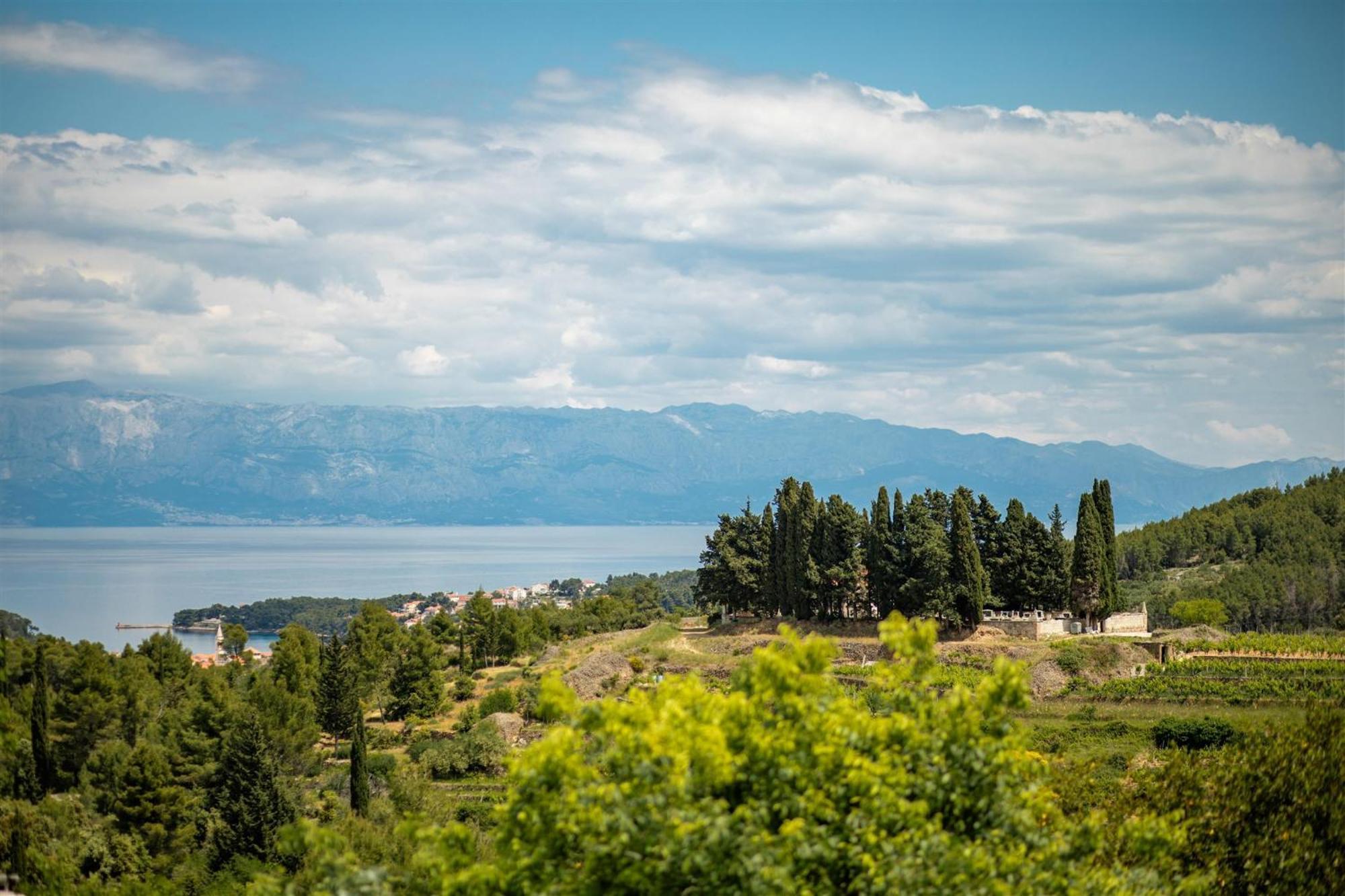Dvor Pitve Villas Jelsa  Cameră foto
